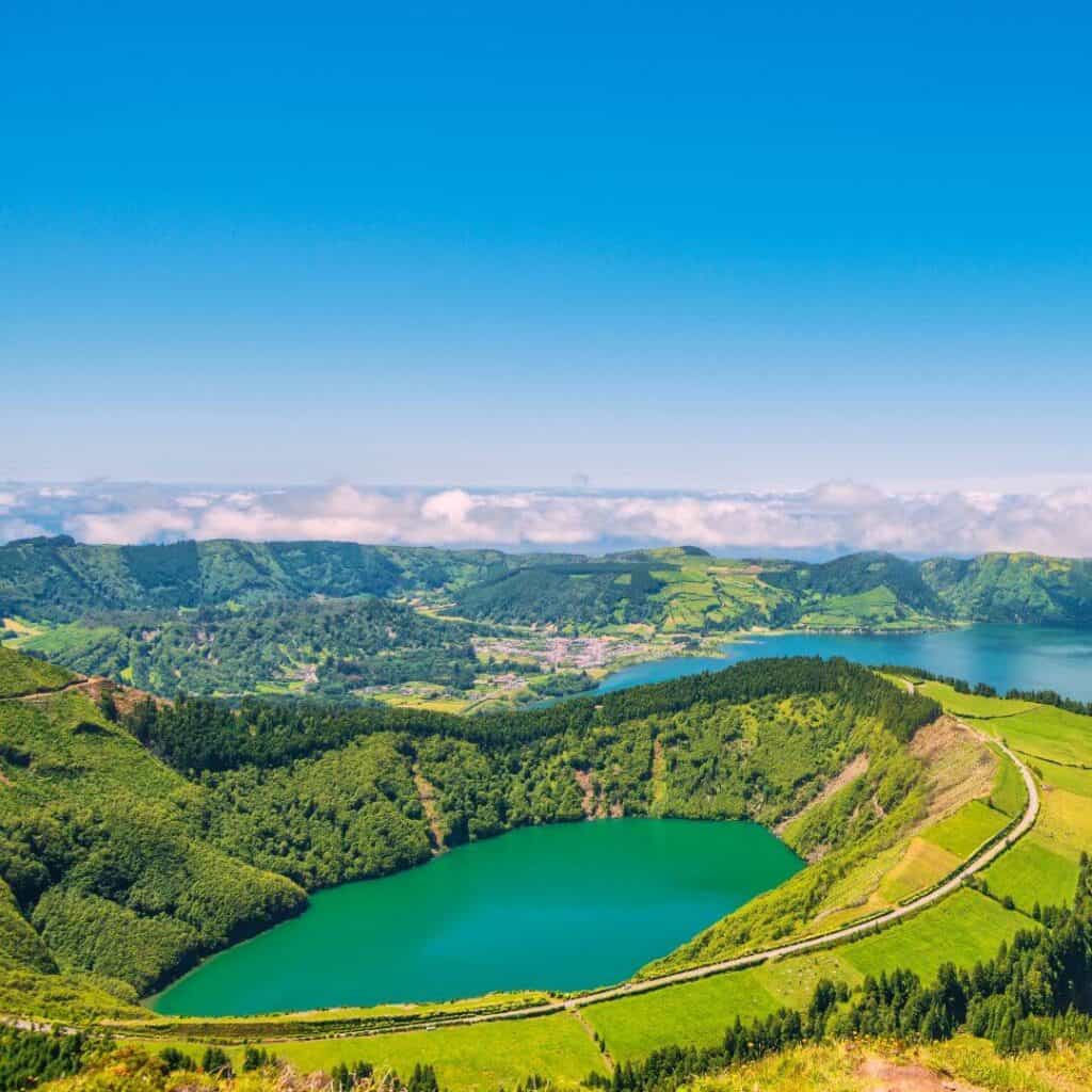 Bucekt list in Sao Miguel Azoeres - Whale Watching - Lagoa das Sete Cidades