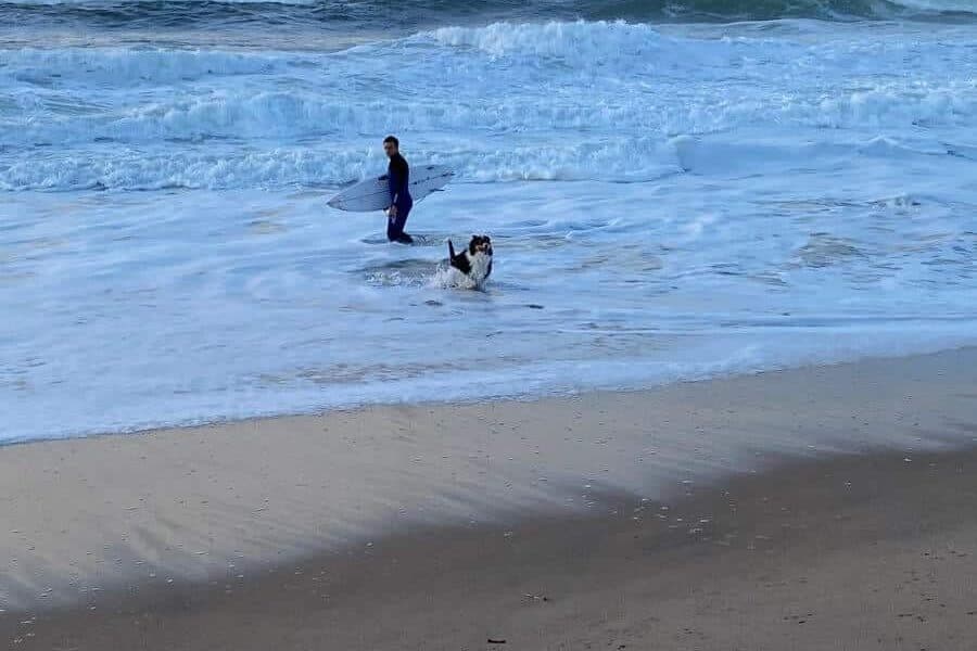 Cascais surf lessons available in Grincho beach